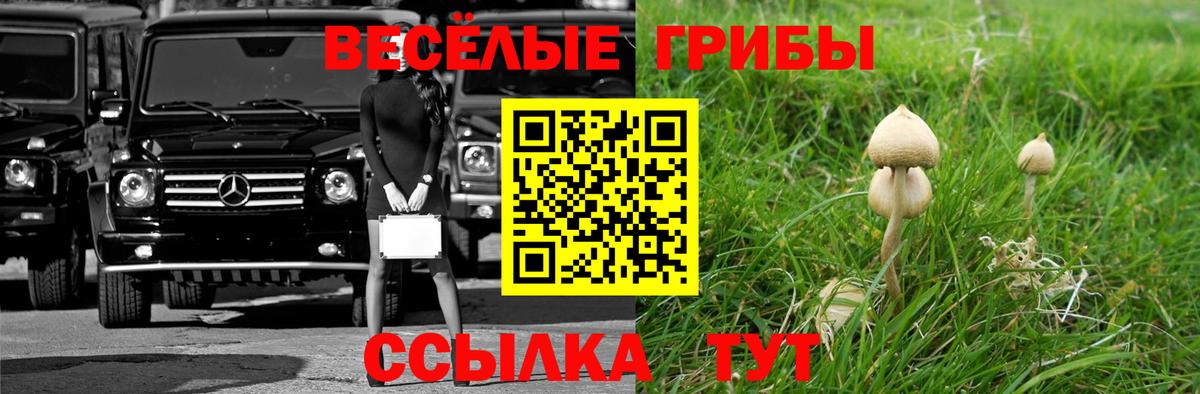 Галлюциногенные грибы мицелий Углич
